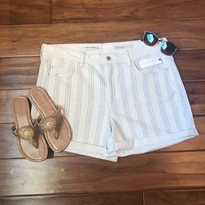 Anthropologie Pilcro & the Letterpress Boyfriend Shorts Size 32 NEW